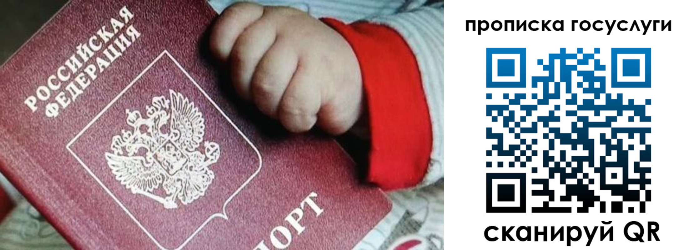 прописка штамп в Зее